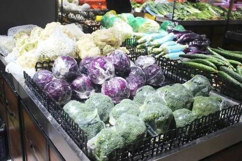 天骏商业吃瓜,揭秘吃瓜群众的狂欢盛宴