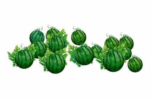 阿昆吃瓜,揭秘娱乐圈幕后故事