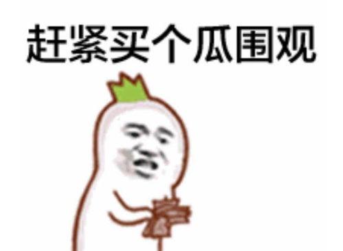 吃瓜表情输入,吃瓜表情背后的网络文化现象解析