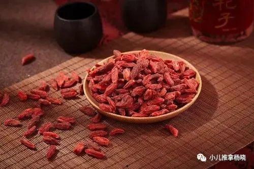 宝宝枸杞吃瓜,营养美味两不误的夏日养生之道