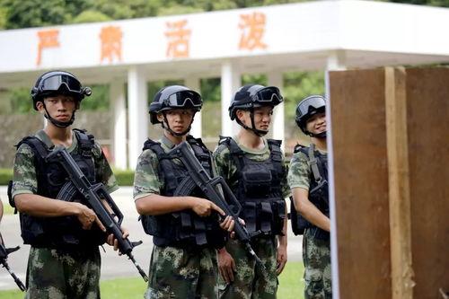 尖兵爱丽吃瓜,揭秘军营里的欢乐时光