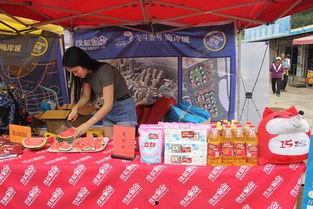 吃瓜社区壹号,网络舆论场中的焦点聚集地