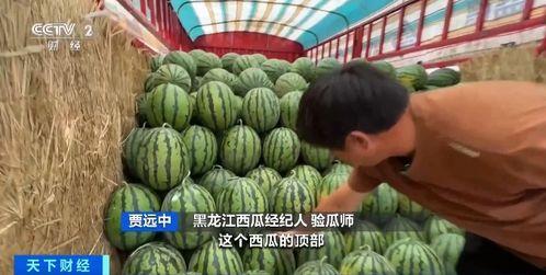 吃瓜价格表,揭秘吃瓜价格背后的秘密